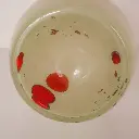 DSC03544.webp