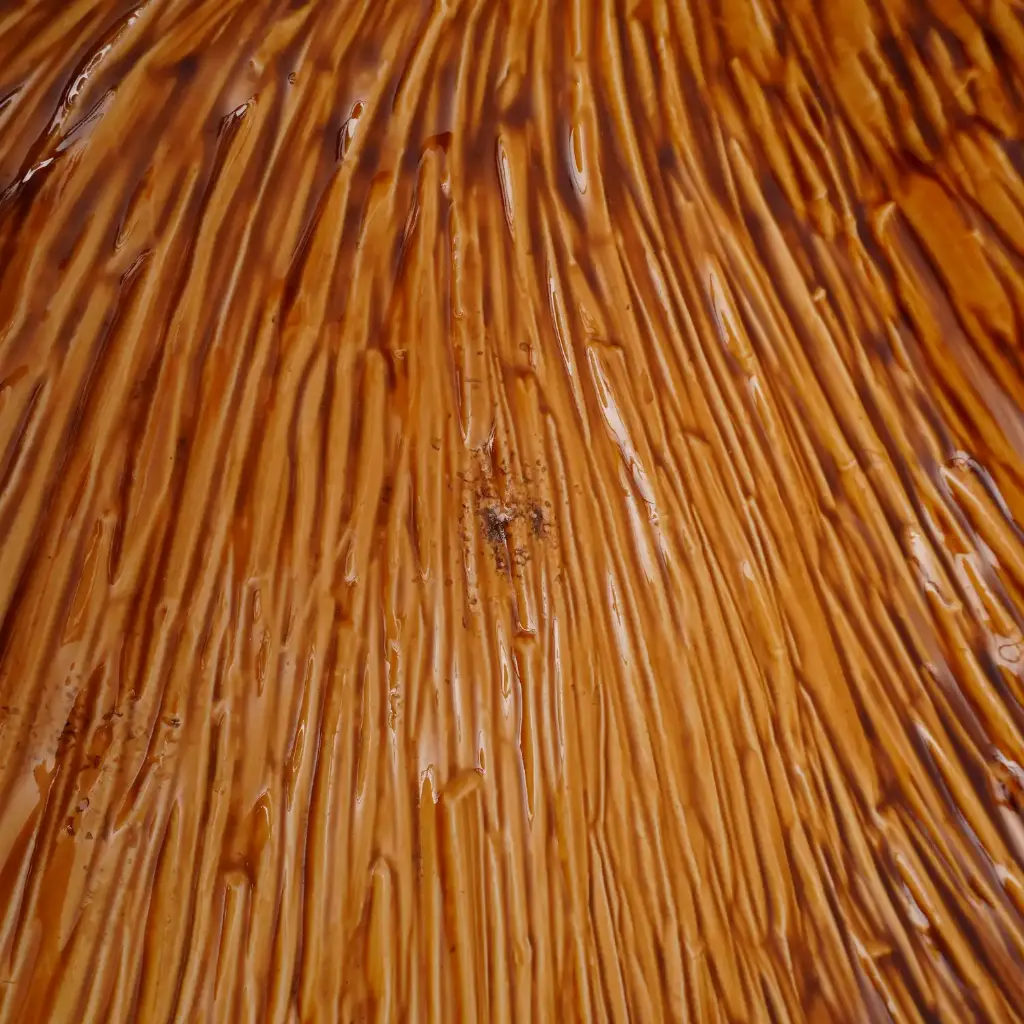 DSC05571.webp
