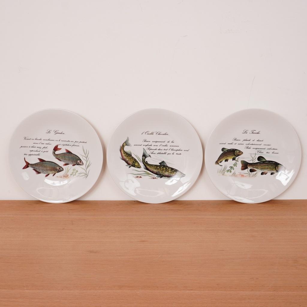 Service à poissons porcelaine de Limoges