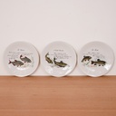 Service à poissons porcelaine de Limoges