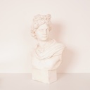 Buste d'Apollon en plâtre