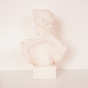 Buste d'Apollon en plâtre