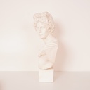 Buste d'Apollon en plâtre
