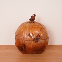 Seau à glace noix de coco