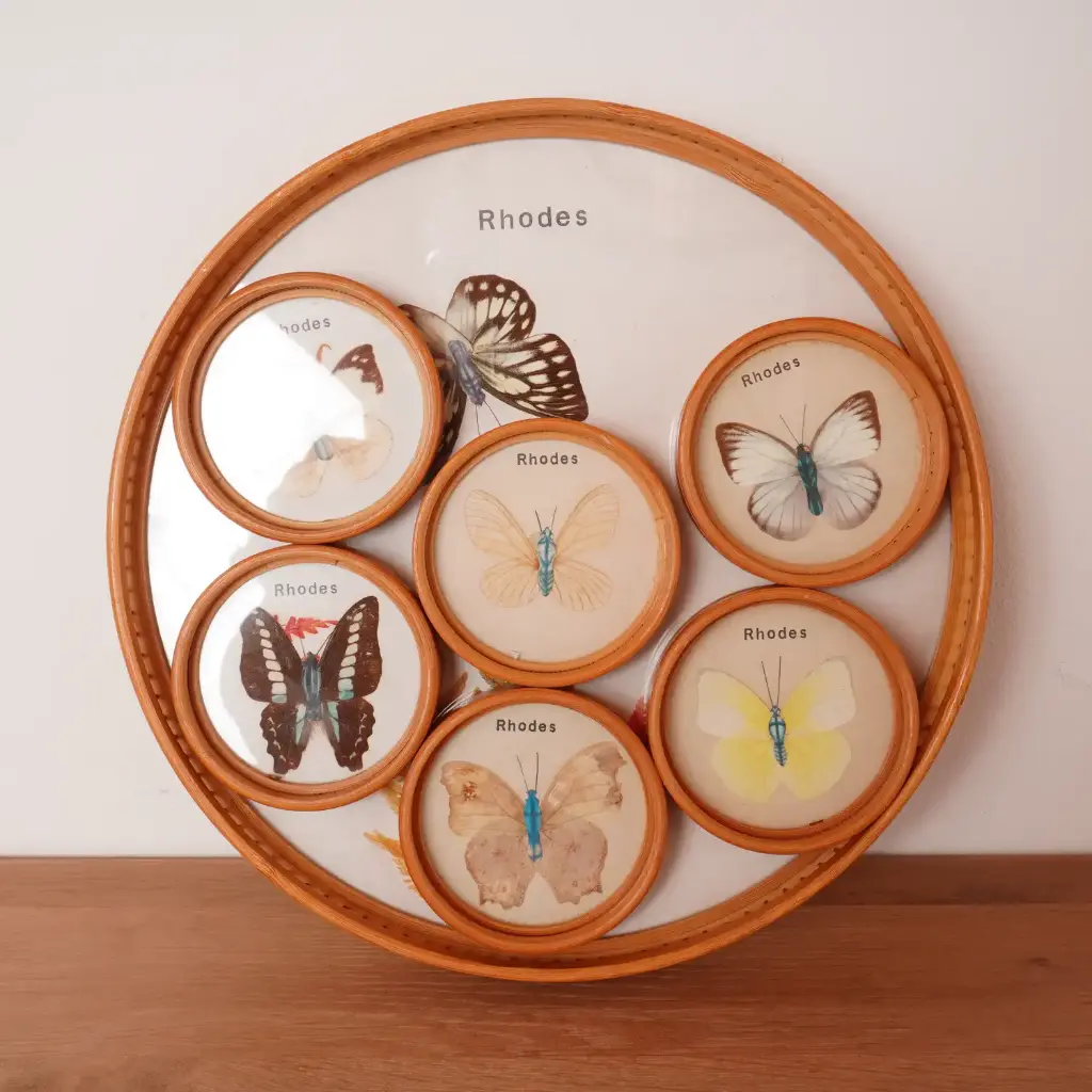 Plateau "Papillons" vintage