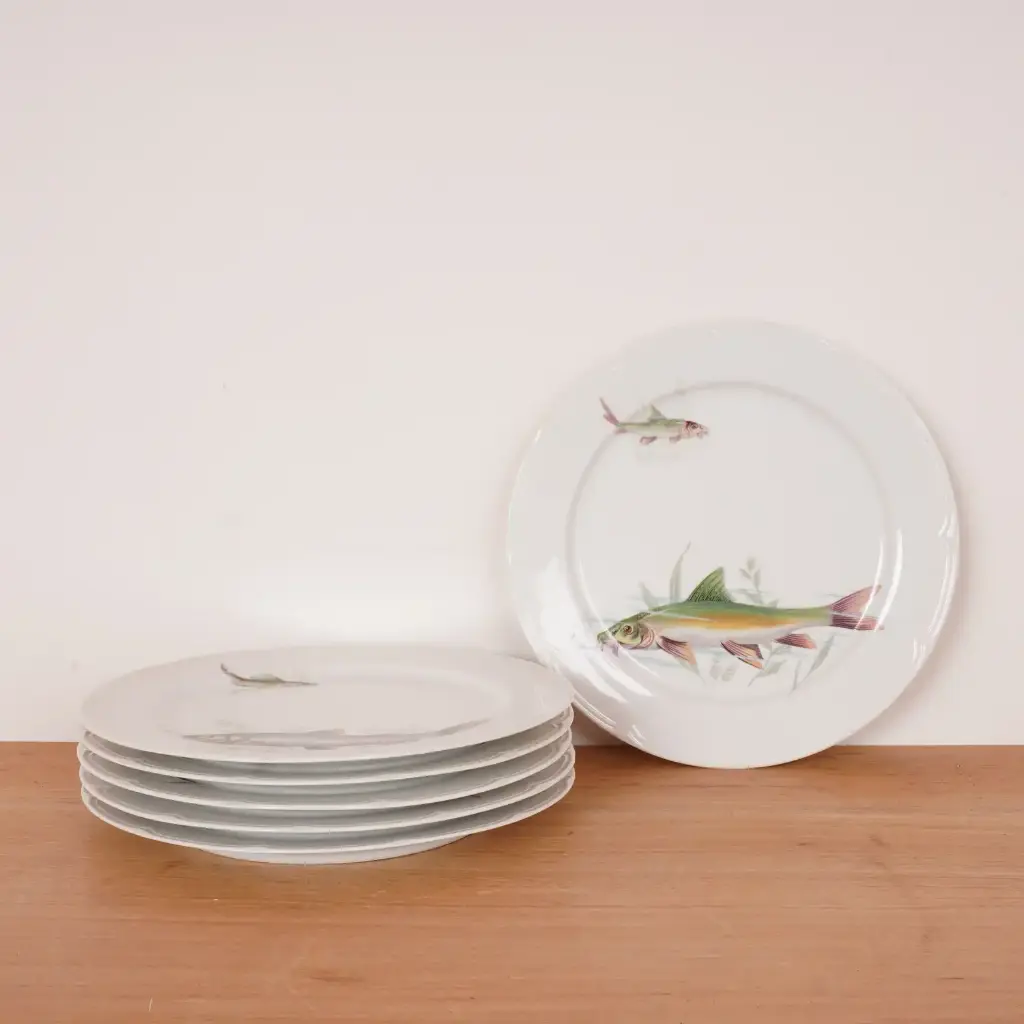 6 assiettes à poissons Aloya porcelaine 