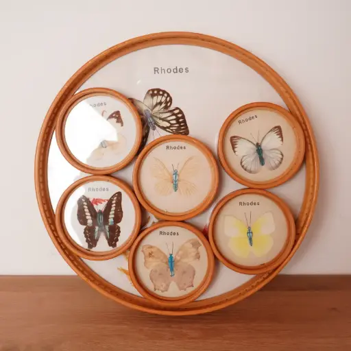 [SU2973] Plateau "Papillons" vintage