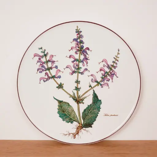 [SU3189] Plat à tarte Villeroy & Boch Botanica